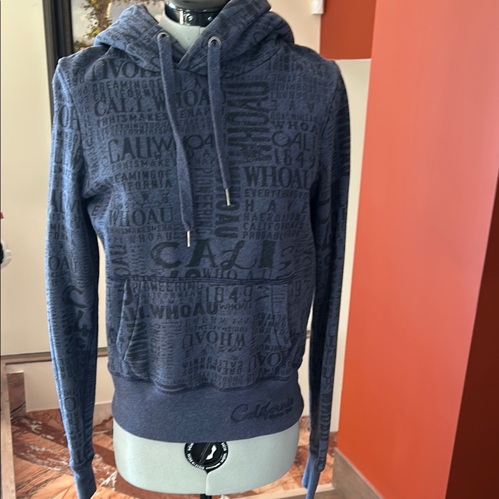 Calvin Klein Blue Graphic Hoodie for Men